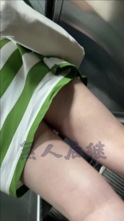 预览图6