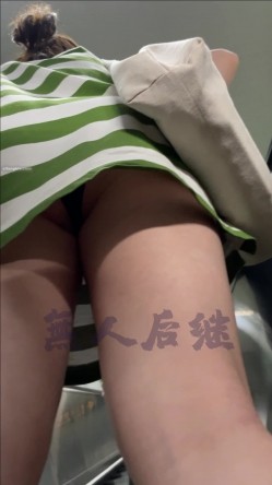 预览图13