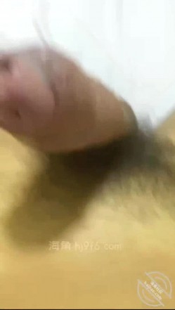 预览图15