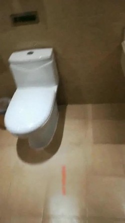 预览图8