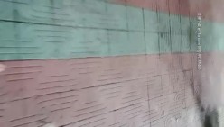预览图4