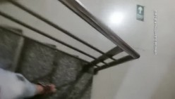 预览图5