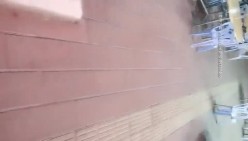 预览图6