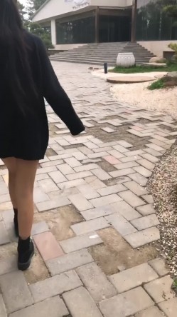 预览图1