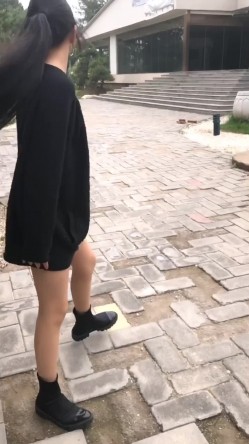 预览图4