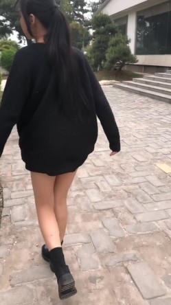 预览图12