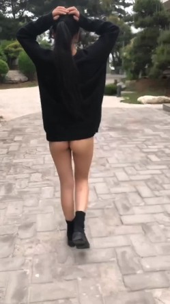 预览图15