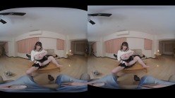 预览图3