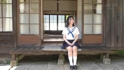 预览图4