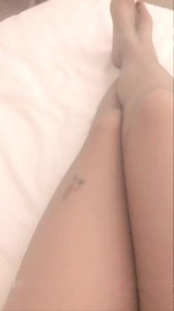 预览图7