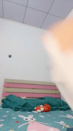 预览图16