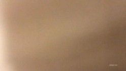 预览图4