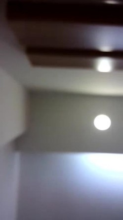 预览图4