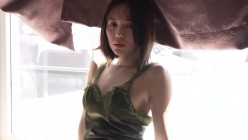 预览图4