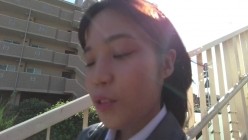 预览图4