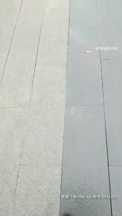预览图15