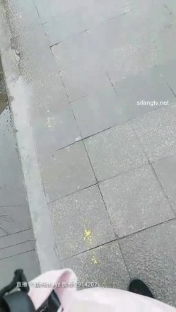 预览图16