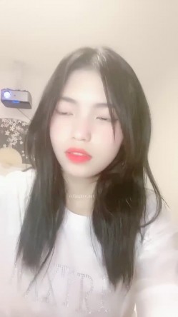 预览图14