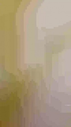 预览图15