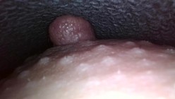 预览图13