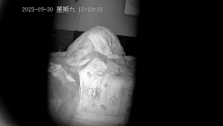 预览图8