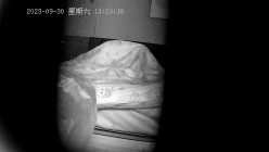预览图9
