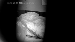预览图11