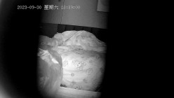 预览图12