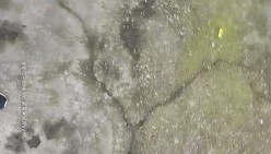 预览图16