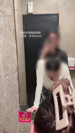 预览图4