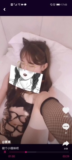 预览图5