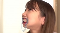 预览图4