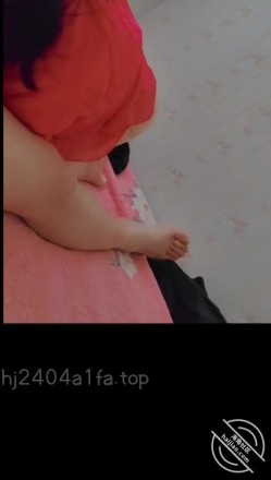 预览图12