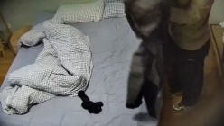 预览图14