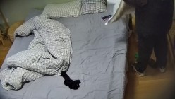 预览图15