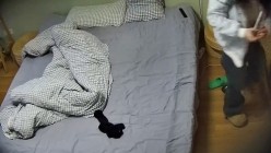 预览图16