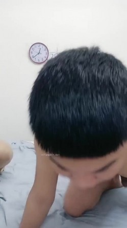 预览图14