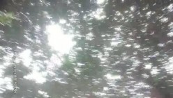 预览图6