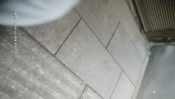 预览图9