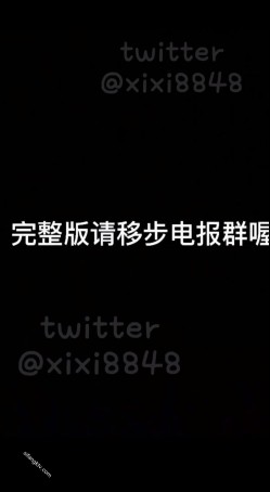 预览图6