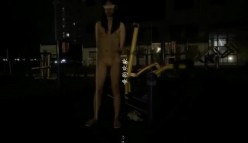预览图2