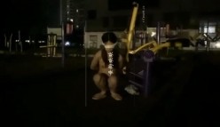 预览图8
