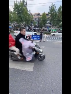 预览图13