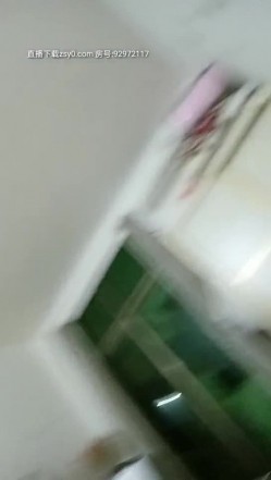 预览图5