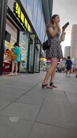 预览图1