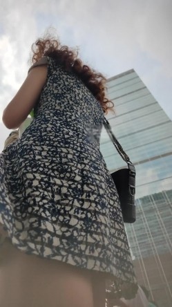预览图6