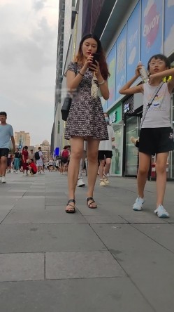 预览图14