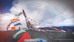 预览图14