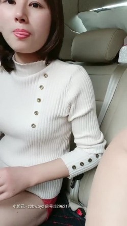 预览图8