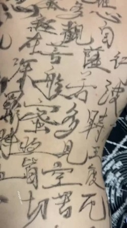 预览图9